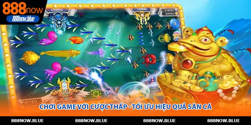Chơi game với cược thấp - Tối ưu hiệu quả săn cá